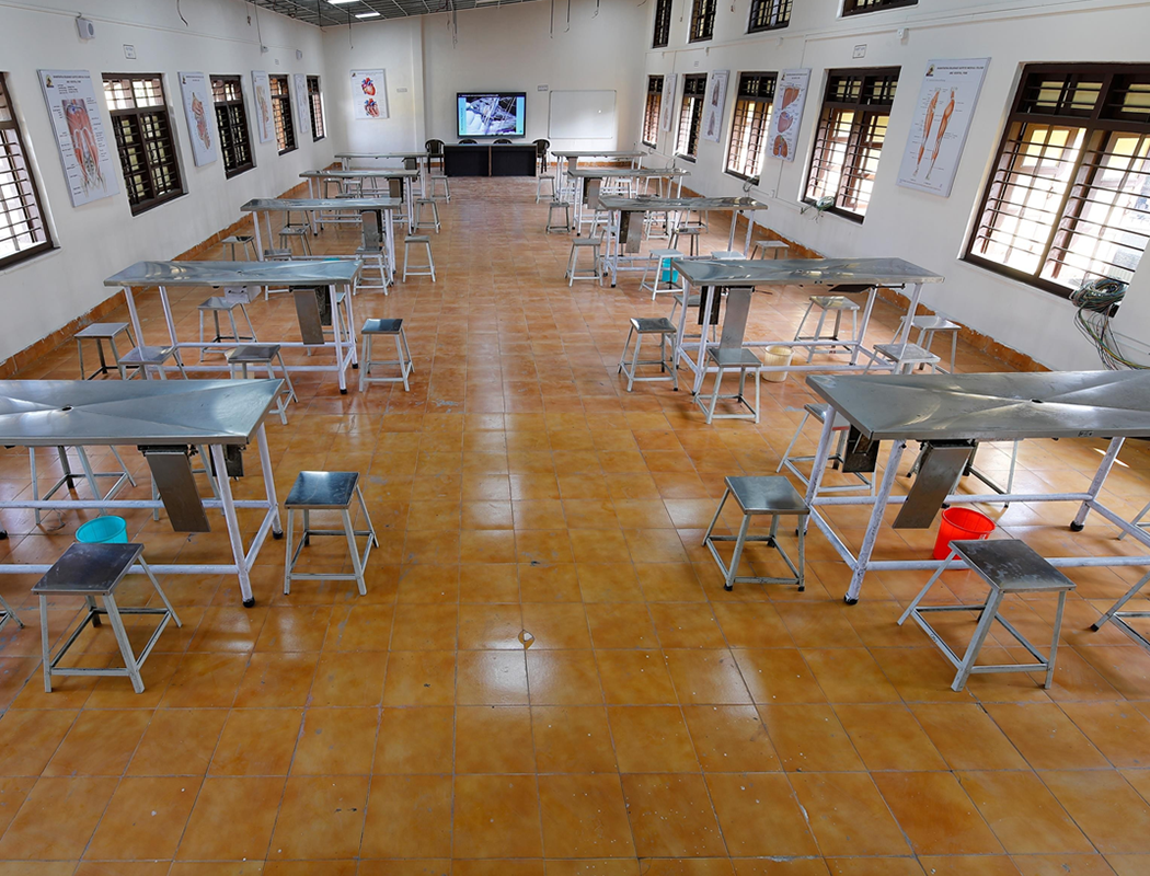 Dissection Hall 3